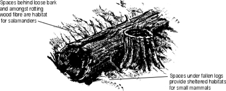 log